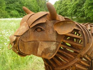 Bull
